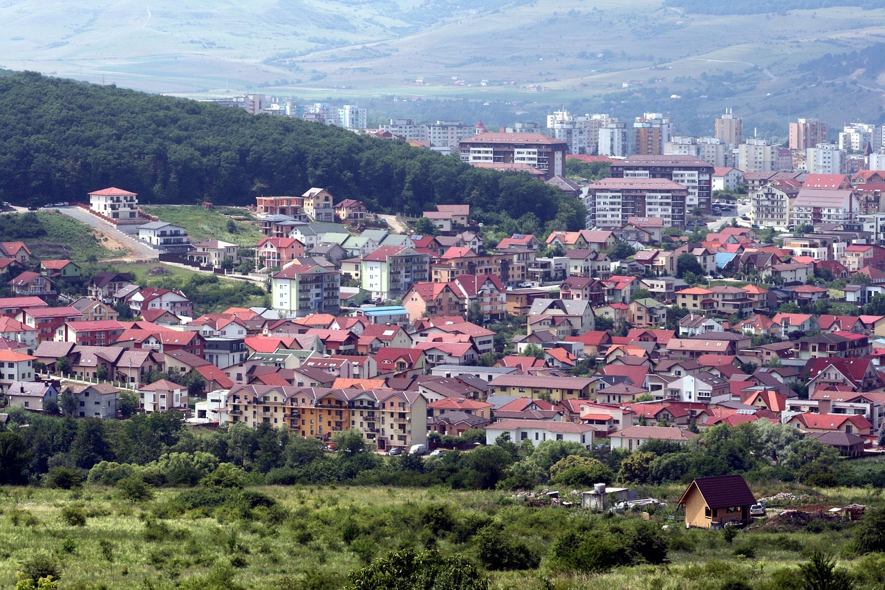 Conacul Borșa