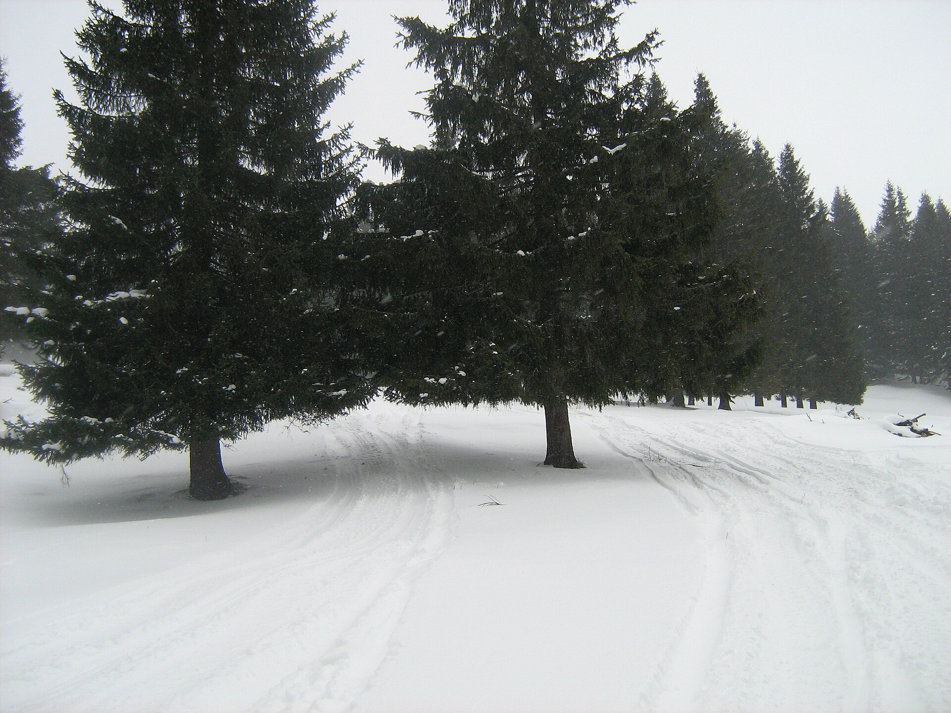 Transalpina Ski Resort