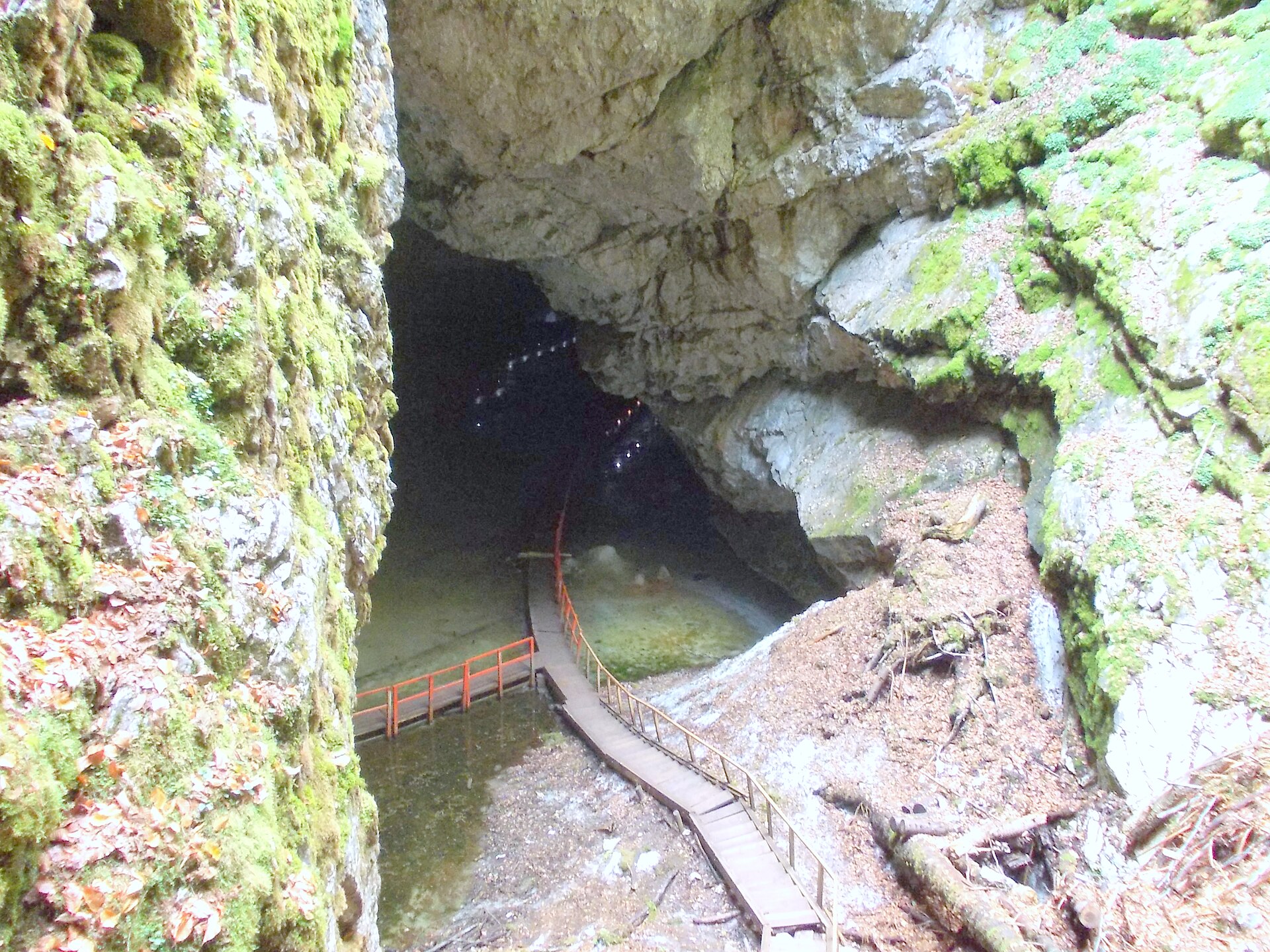 Scărișoara Ice Cave