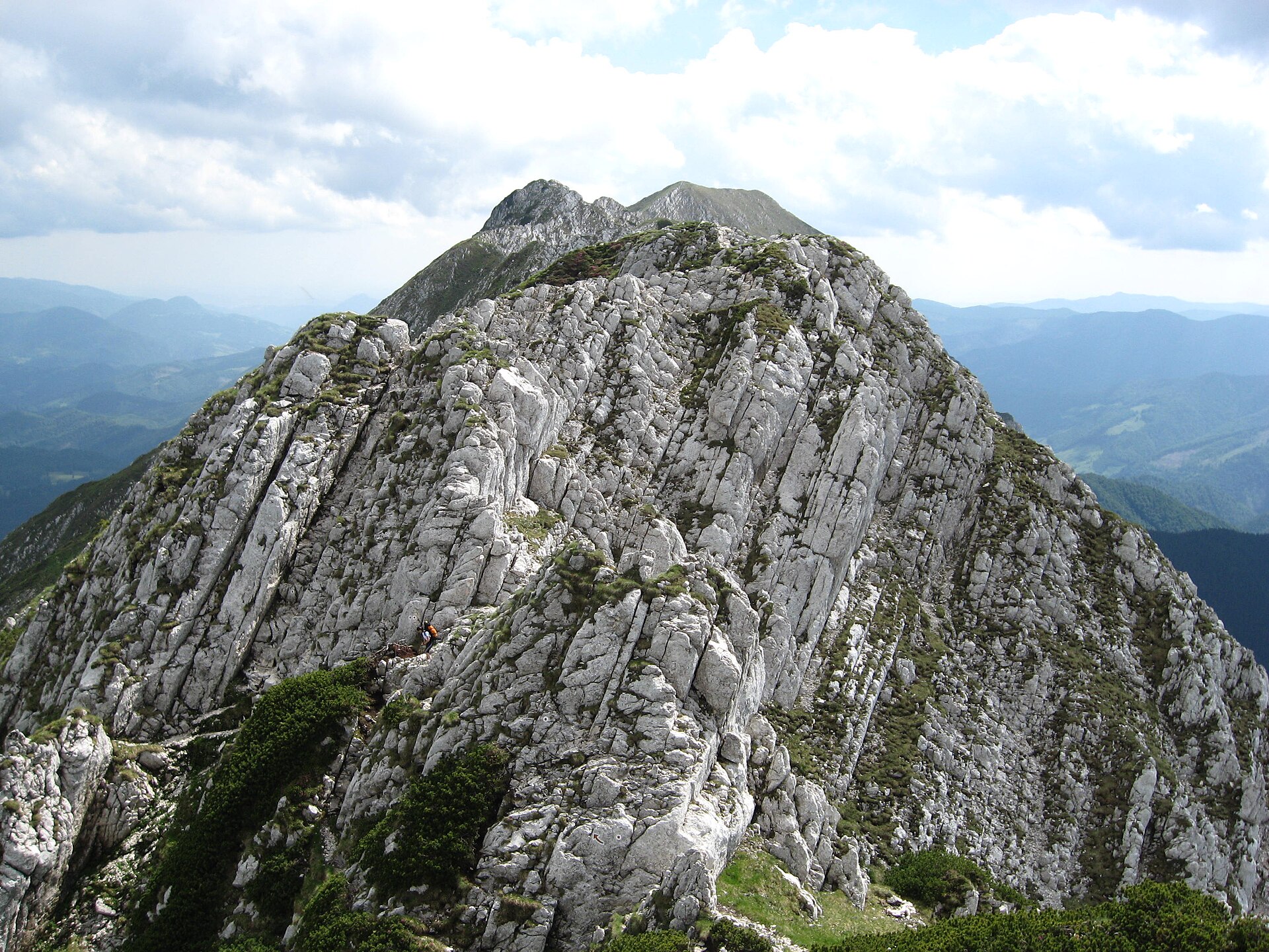 The Carpathians